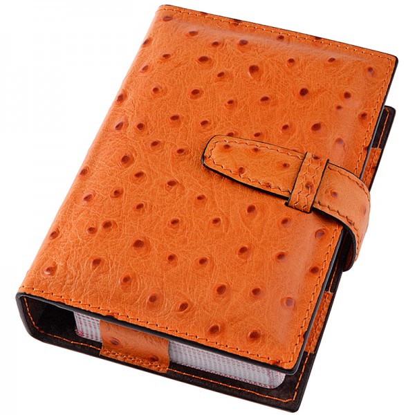 Spielkarten Etui Spielkarten Etui