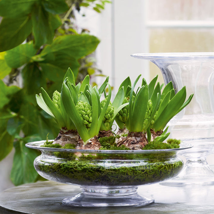 Holmegaard Blumenschale Old English