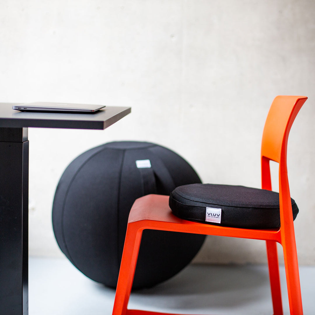 VLUV Sitzball LEIV Schwarz