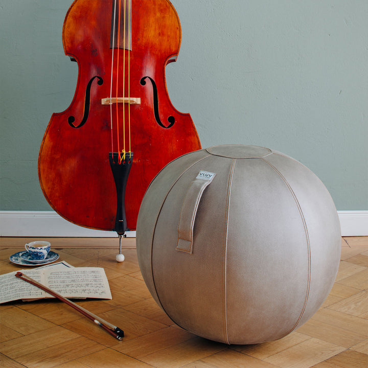 VLUV Sitzball VEEL Schlamm